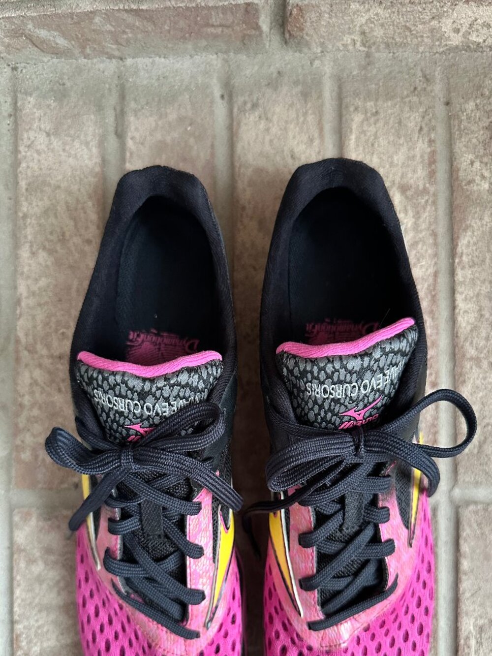 Mizuno Wave EVO Cursoris Women's Running/Walking sneaker size 7